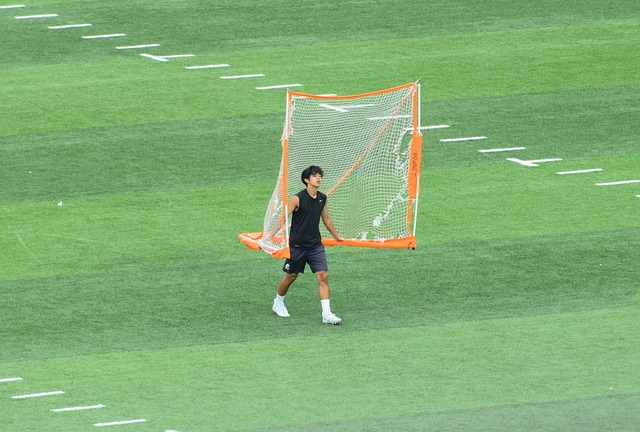 体的能源供