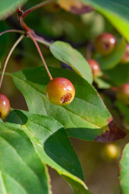 使其成为观 使其成为观