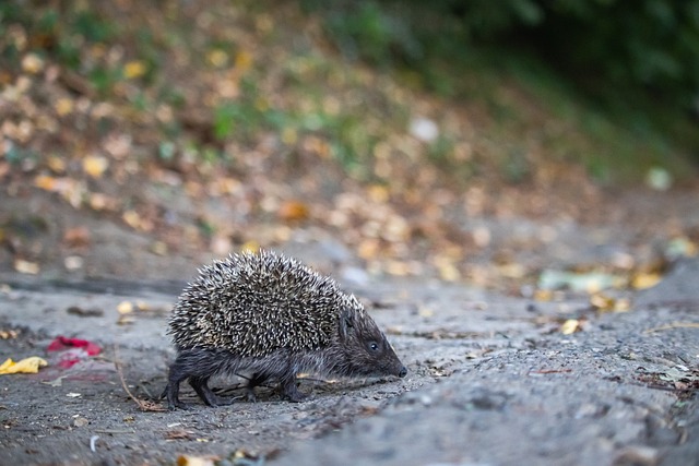 们的交谈中 们的交谈中