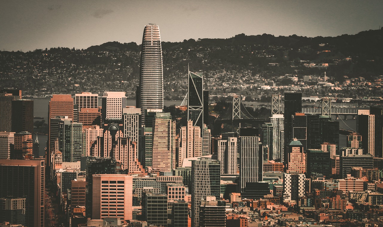 的综合表现 的综合表现