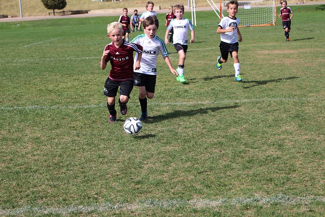 未结束的情 未结束的情