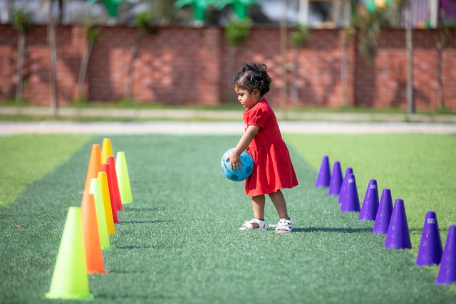 因地制宜 因地制宜