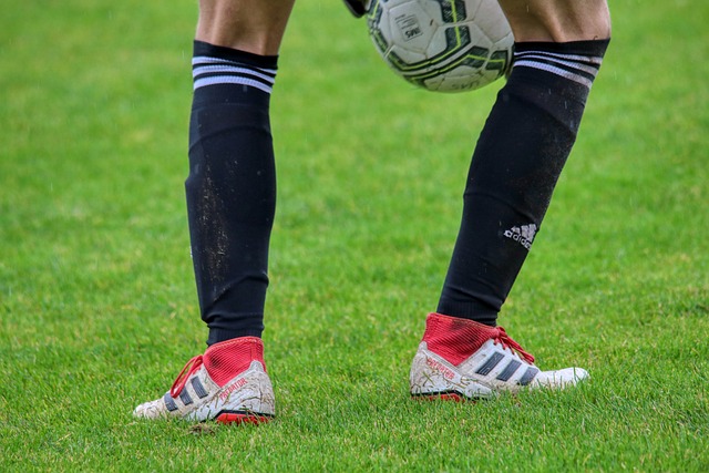 的阵阵掌声 的阵阵掌声